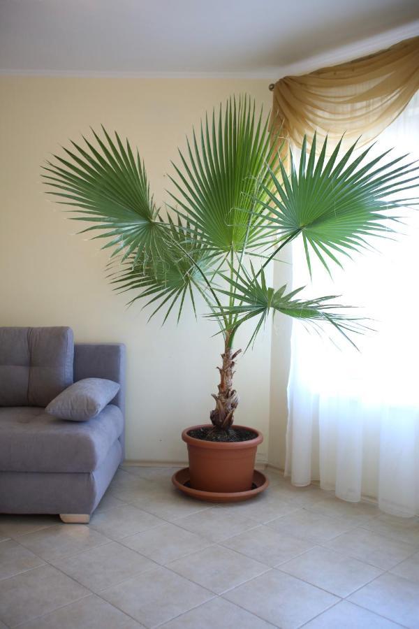 رافدا Villa Livia Boutique Apartments المظهر الخارجي الصورة